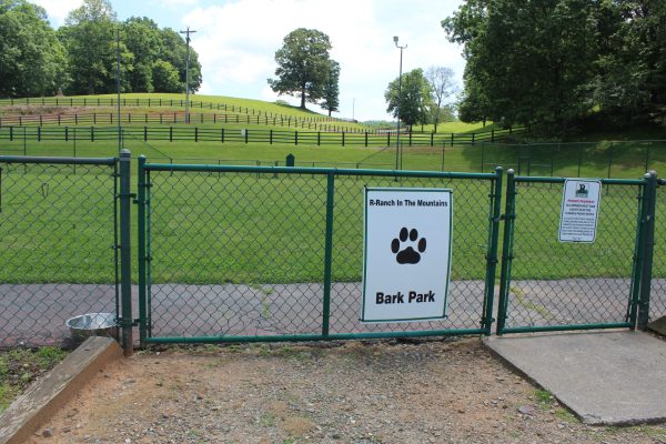 Dog-park
